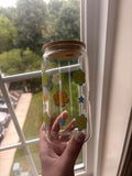 Retro flower and star glass/plastic 16oz cup